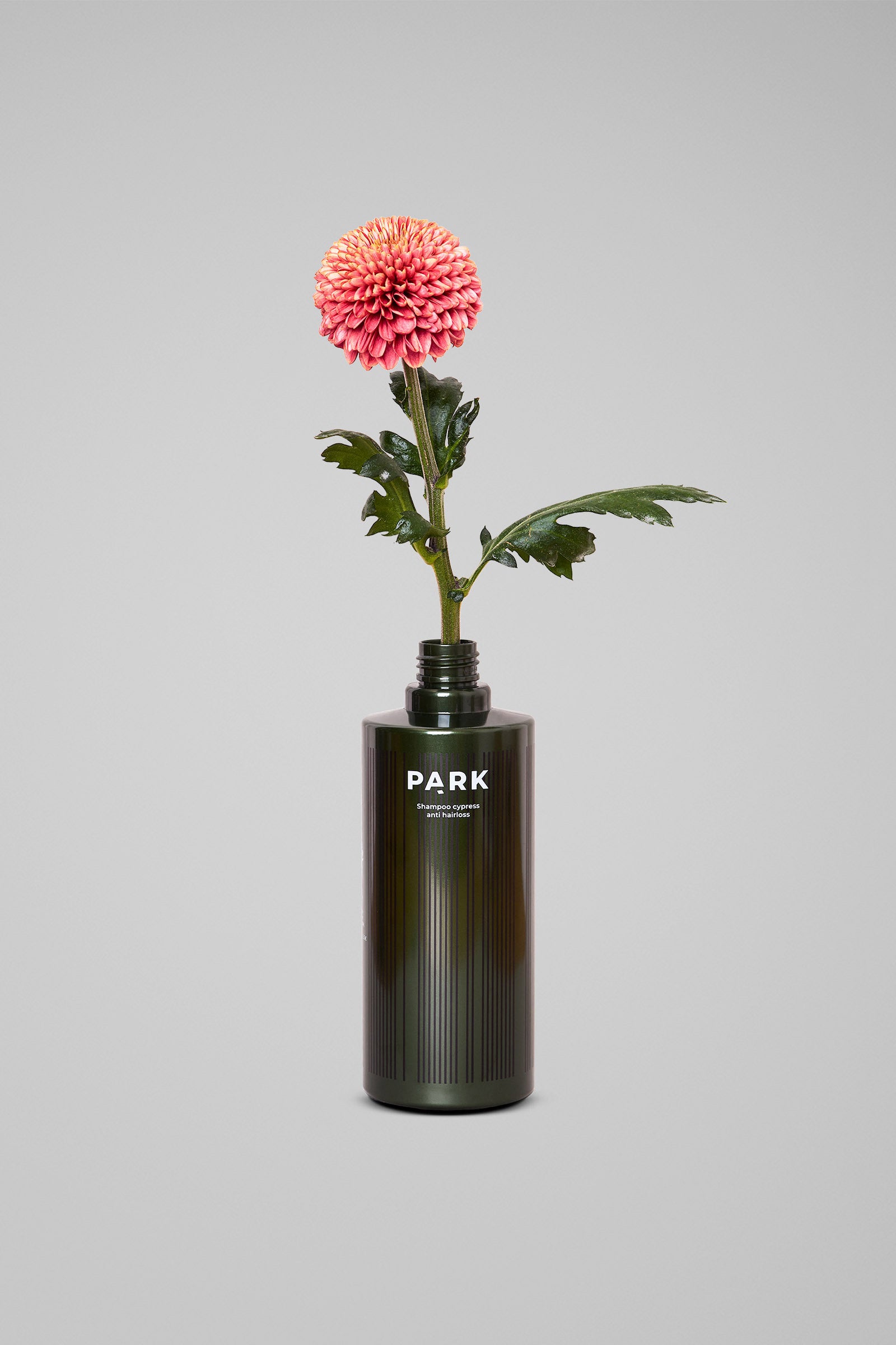 Cypress Shampoo - Shampoo mod hårtab