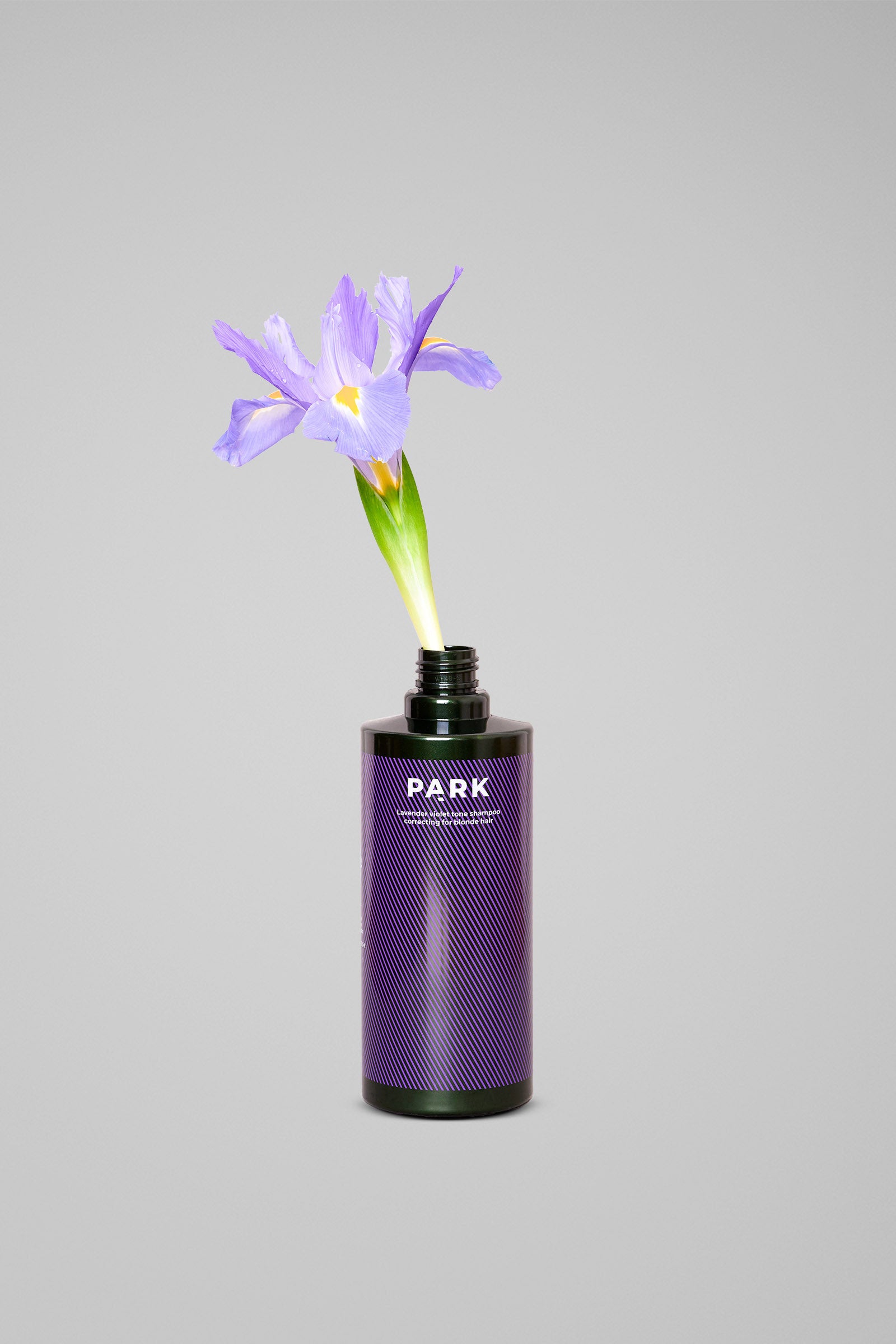 Lavender Violet Tone Shampoo - Fugtgivende silvershampoo til blond og gråt hår