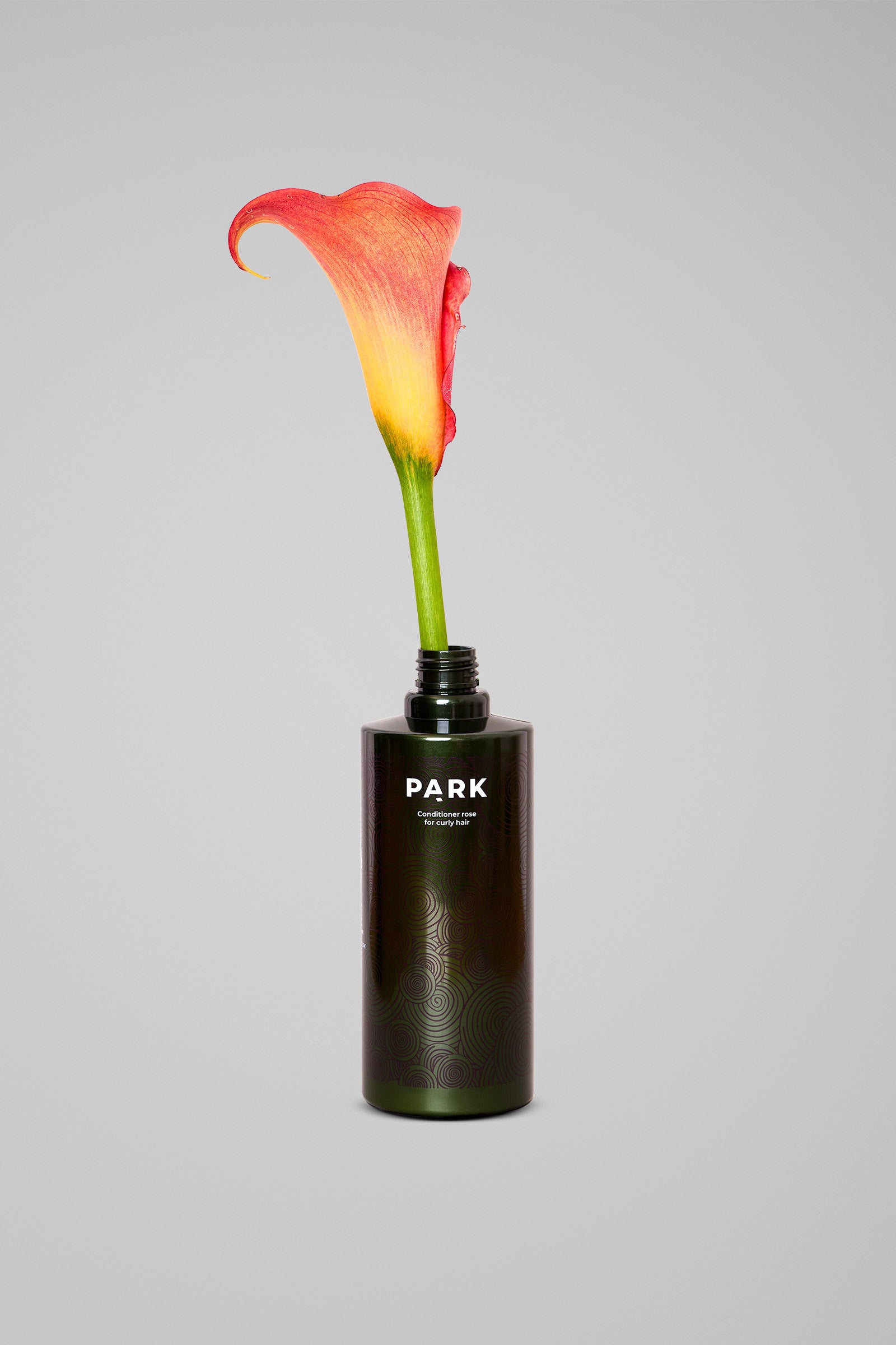 Rose Conditioner - Fugtgivende balsam til krøllet hår