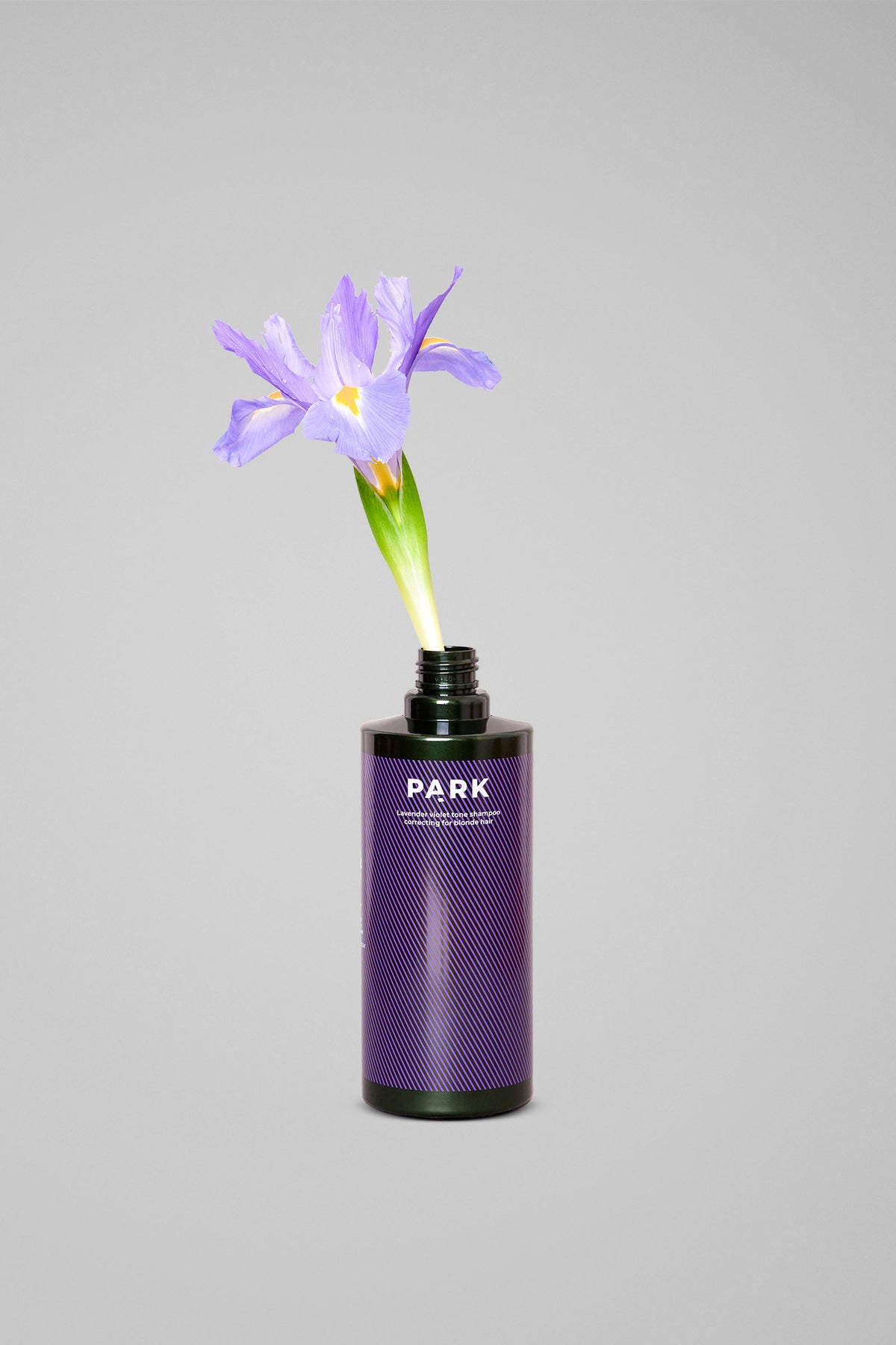 Lavender Violet Tone Shampoo - Fugtgivende silvershampoo til blond og gråt hår